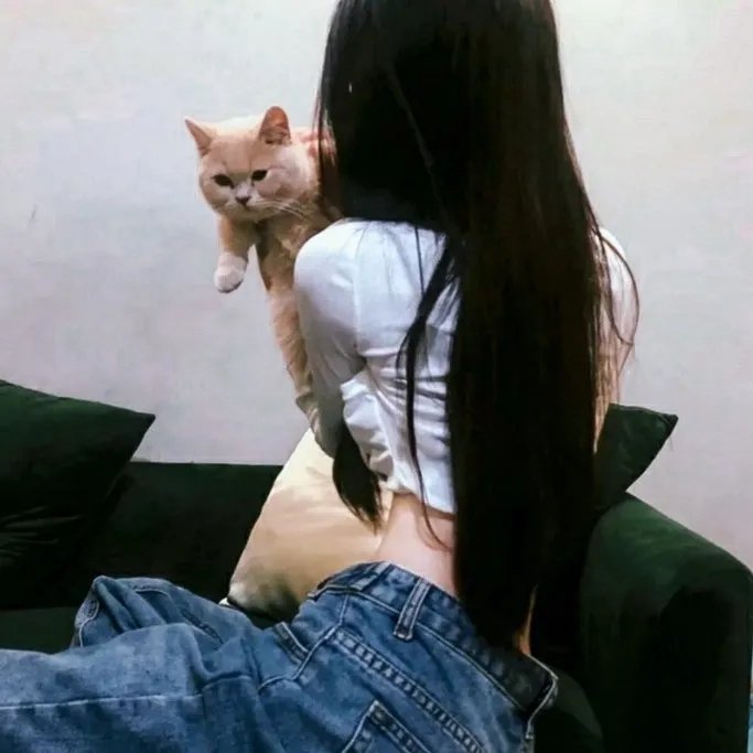 孤寂午后